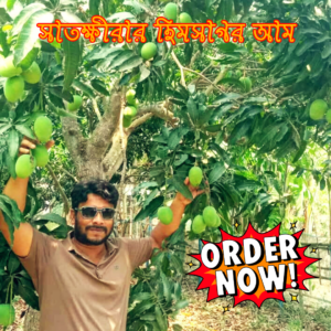 সাতক্ষীরার হিমসাগর আম